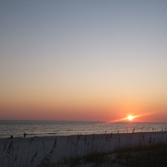 Meet your Posher, Sue - Picture 1 of 1